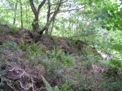 Pont Hall Quarry incline, Cwmcarn, May 2010